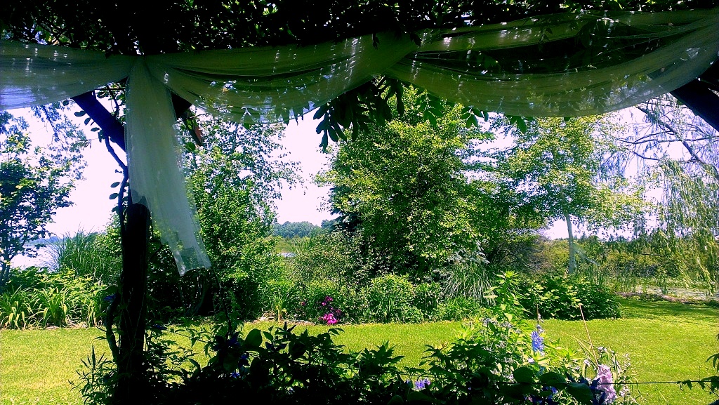 Looking out from under the Flowering Gazebo